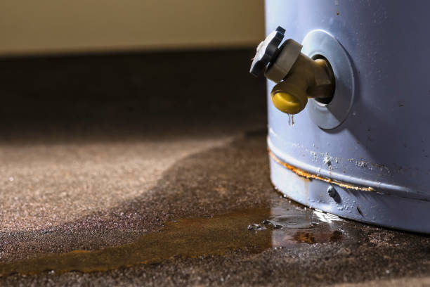 Best 24/7 water damage repair  in Pocahontas, IA