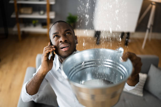 Best Flood restoration services  in Pocahontas, IA