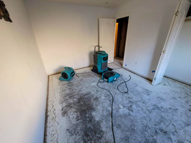 Best 24-hour water damage restoration  in Pocahontas, IA