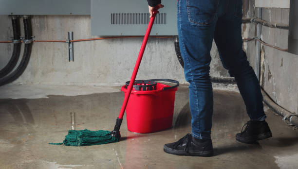 Best Water damage contractors near me  in Pocahontas, IA