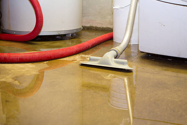 Best Carpet water damage restoration  in Pocahontas, IA
