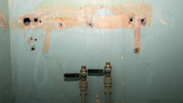 Best Mold removal after water damage  in Pocahontas, IA