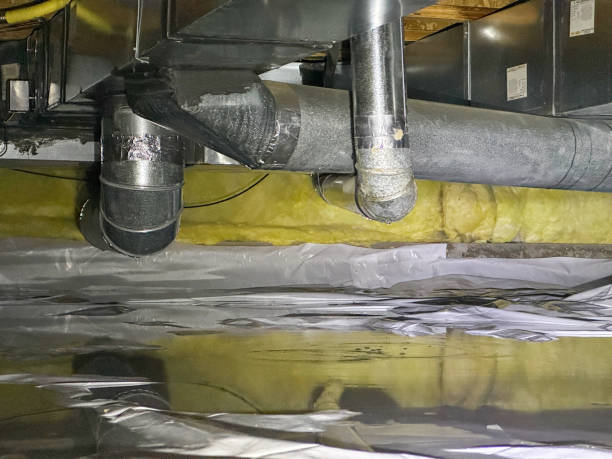 Best Water damage cleanup near me  in Pocahontas, IA