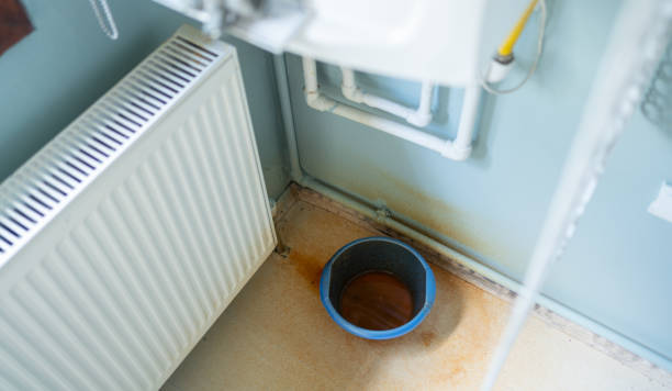 Best Fire Damage Restoration  in Pocahontas, IA