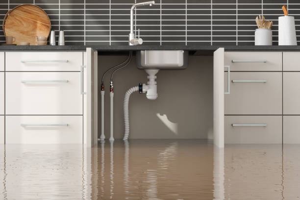 Best Commercial water damage restoration  in Pocahontas, IA